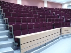 Aleksandro Stulginskio universitetas